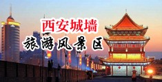 嗯啊不要马鸡巴操哭了视频中国陕西-西安城墙旅游风景区