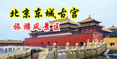 美女粉嫩的骚屄中国北京-东城古宫旅游风景区